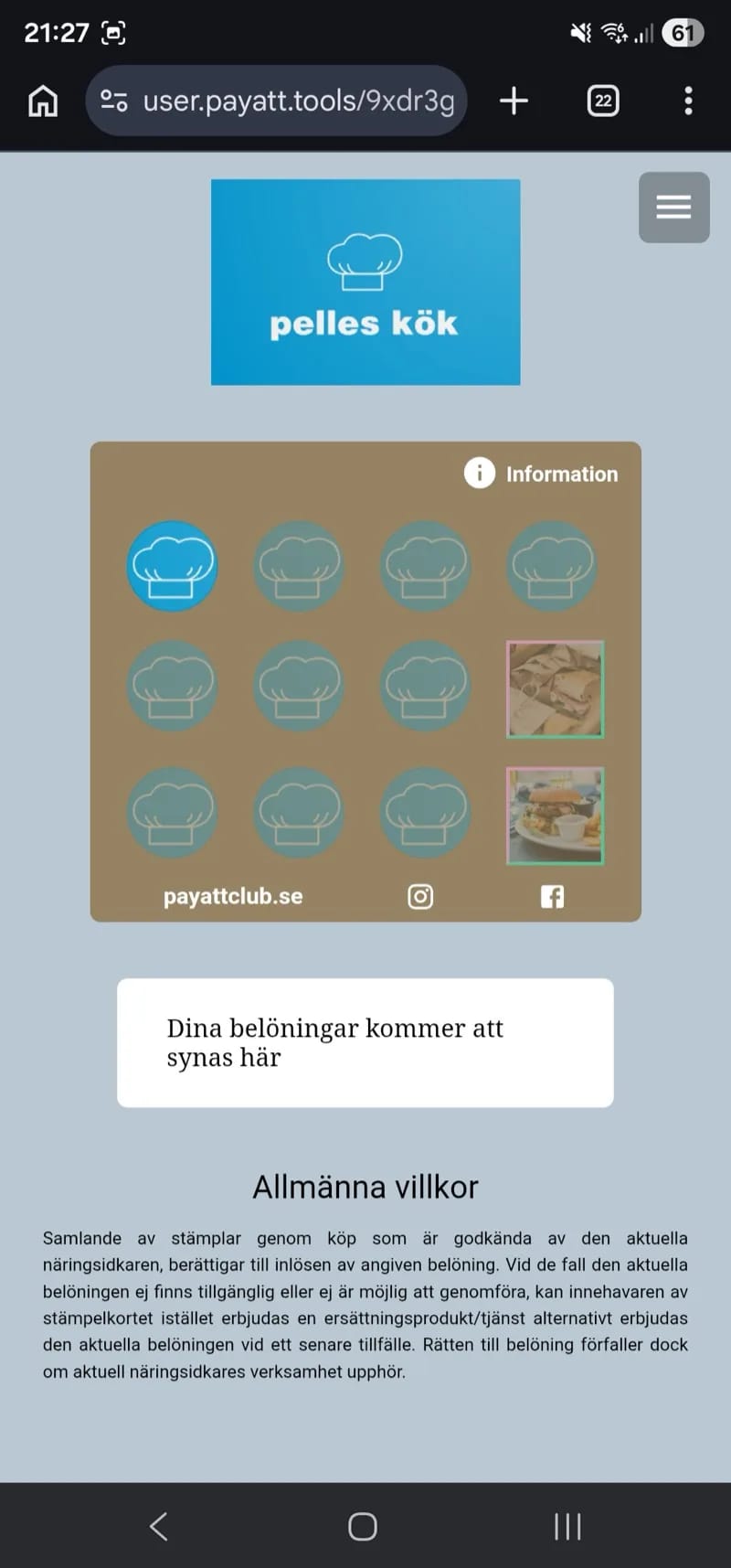 PayAtt GO — kundens mobil med brandad app-ikon på hemskärmen (1)