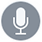 Mic icon